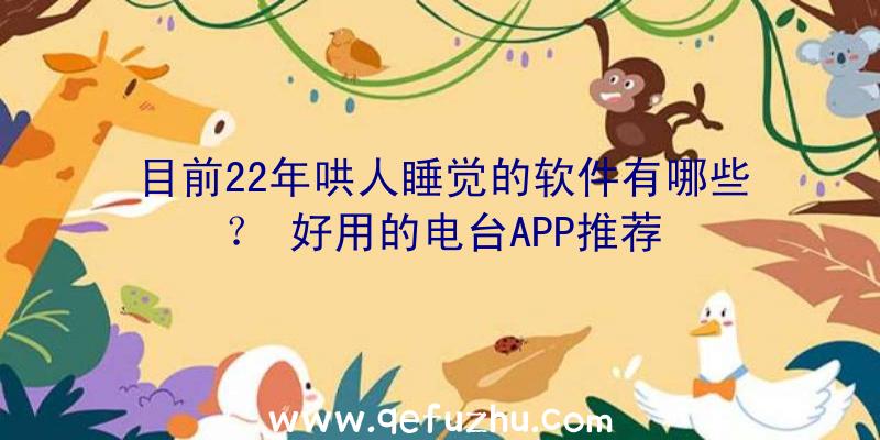 目前22年哄人睡觉的软件有哪些？